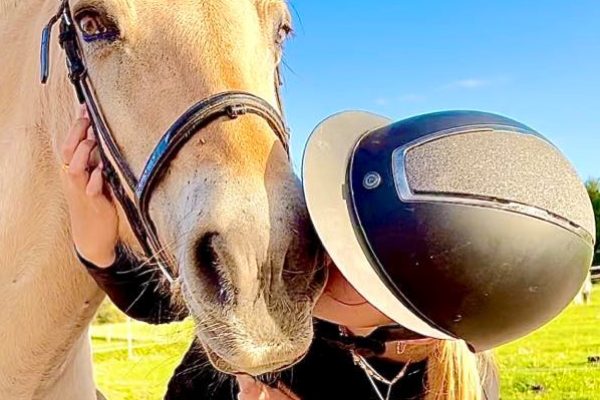 Kys af hest Kys af hest under rideundervisning